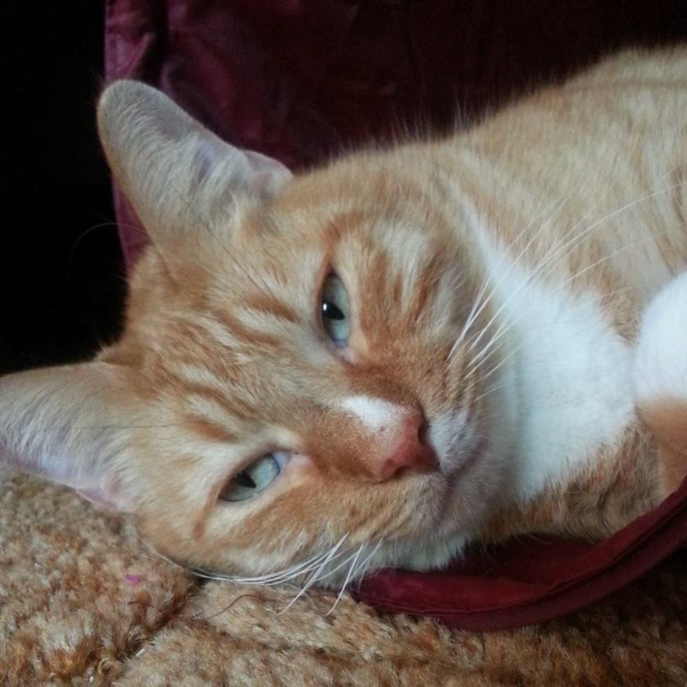 Meet your Posher, Kaaryn